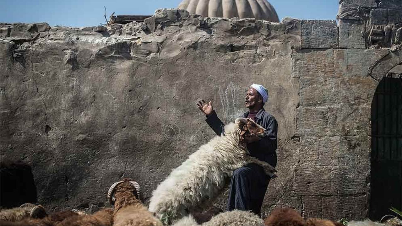Dünyada Kurban Bayramı Coşkusu Yaşanıyor