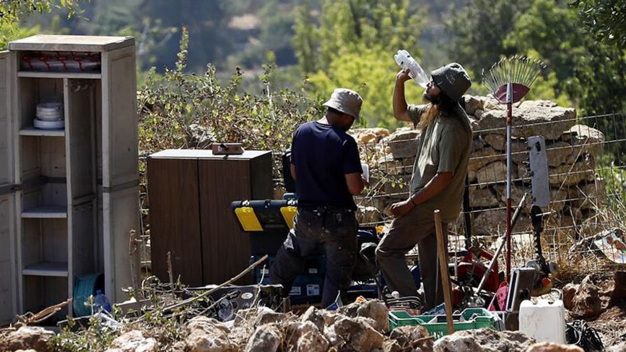 Yahudi İşgalciler Filistinlilerin Zeytinlerini Çaldı