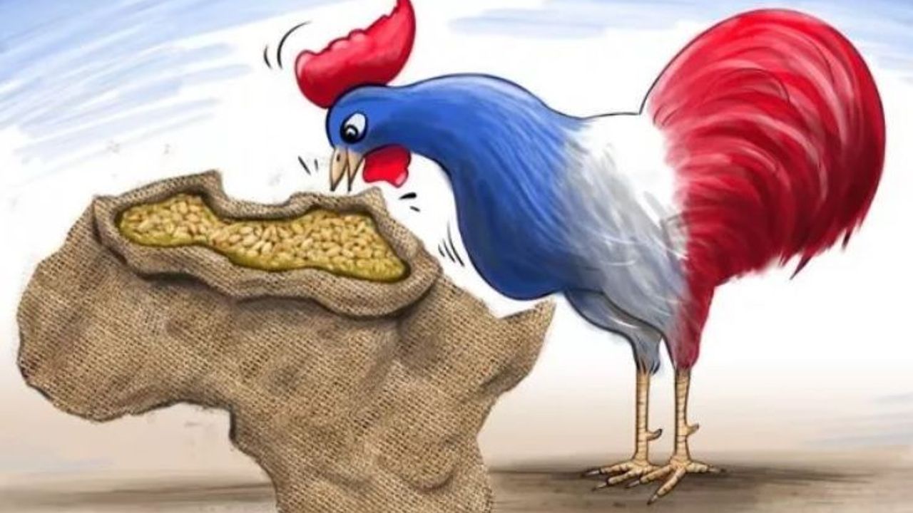 Fransa’nın Üç Ayaklı Sömürü Sistemi; Dil, Eğitim ve Frank