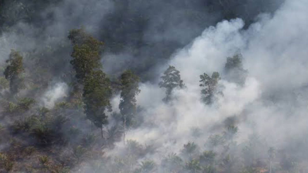 Endonezya'daki Orman Yangınları Eğitimi de Etkiledi
