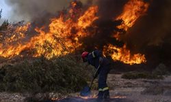 Cezayir'deki Orman Yangınlarında En Az 34 Kişi Öldü