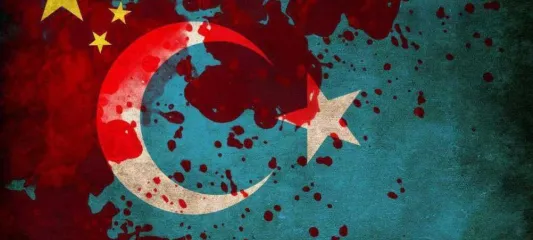 Eski ÇKP Yetkilisinden Doğu Türkistan İtirafı: "Toplama Kampları Kapatılmadı, Zulüm Sürüyor!"