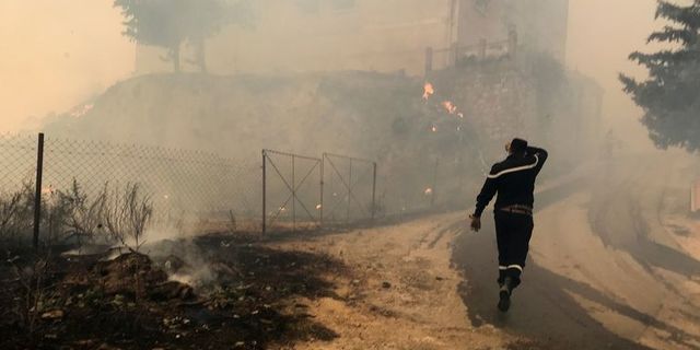 Cezayir'deki Orman Yangınlarında 65 Can Kaybı