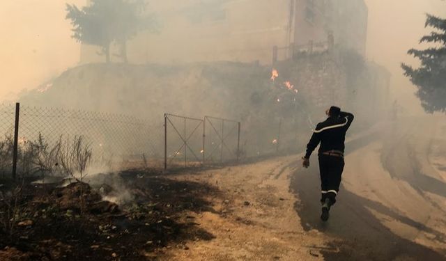 Cezayir'deki Orman Yangınlarında 65 Can Kaybı