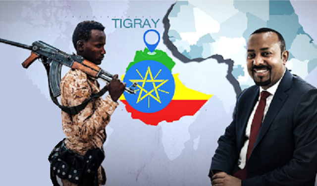 Etiyopya'da Çatışma, Kriz ve Türkiye'nin Hassas Rolü