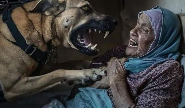 Siyonist Vahşi Canavarlardan Filistinli Yaşlı Kadına Köpekli Saldırı