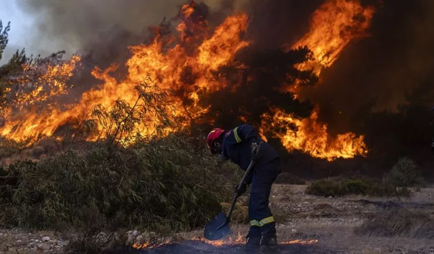 Cezayir'deki Orman Yangınlarında En Az 34 Kişi Öldü